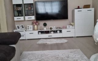 Apartament 3 Camere Alexandru cel Bun - 550 euro - Poză 10