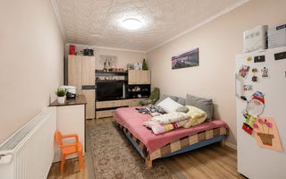 CASA RENOVATA DE VANZARE, SALONTA - Poză 10
