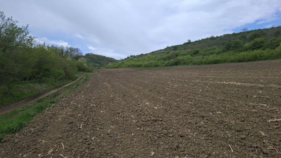 Parcele de teren intravilan cu utilitati-Rasinari-Sibiu - Poză 5