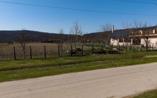 Loc de casă în Odvoș - Conop 3000mp - Poză 1