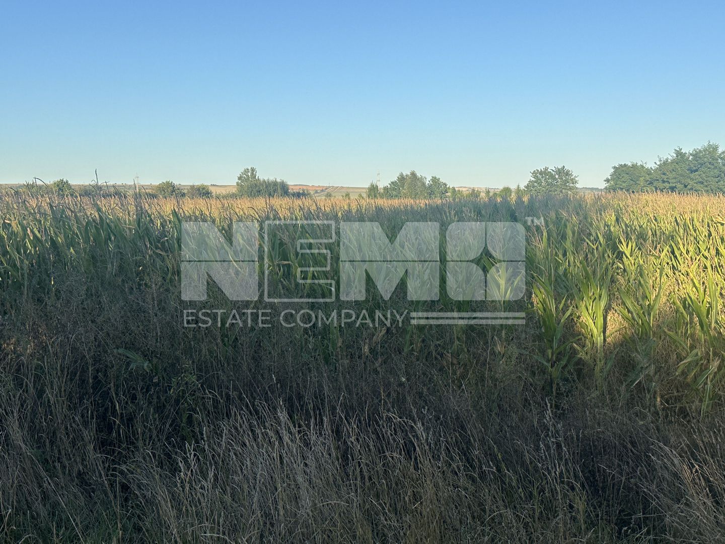 Teren Siret E85 | 2500MP | Toate Utilitățile - Poză 4