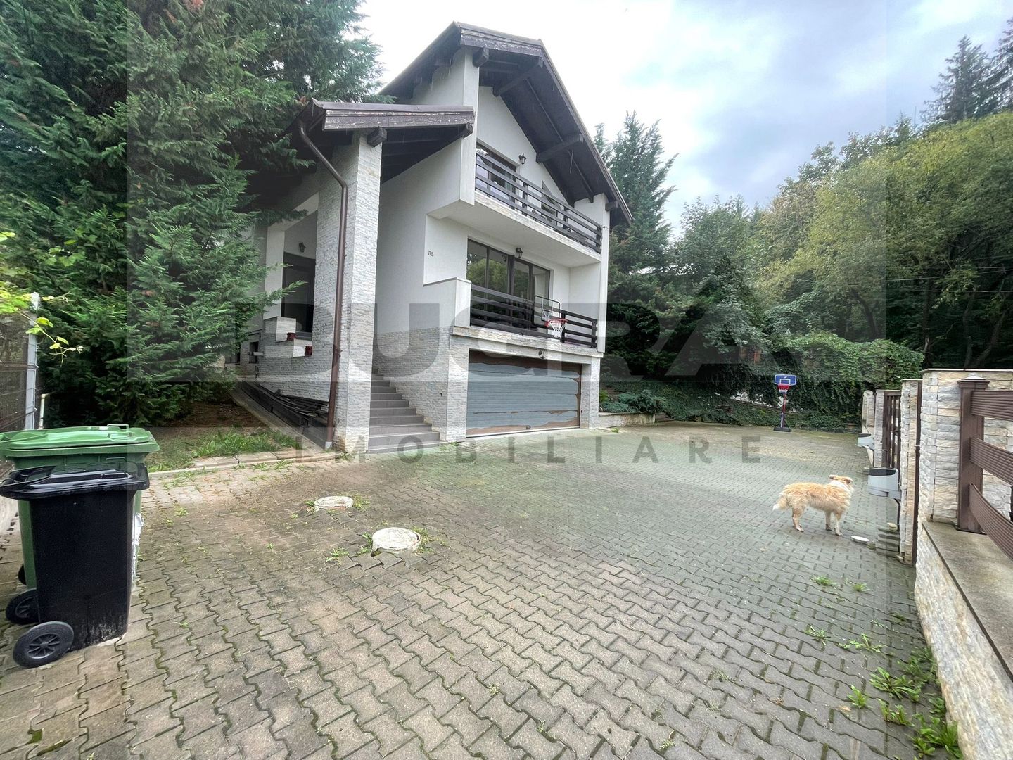 Vila de inchiriat langa padure, panorama superba,  250mp, zona Faget - Poză 2