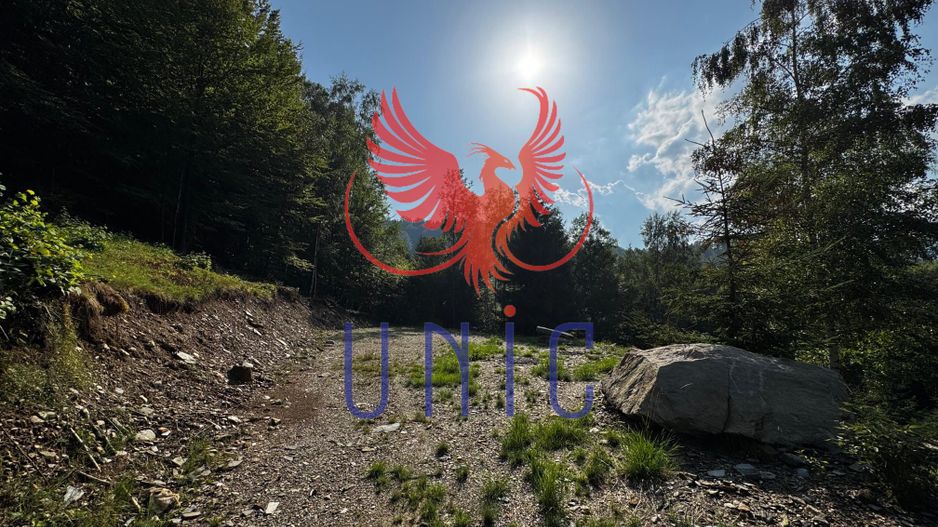 18000 mp de natura pura ,Lupeni, langa Straja - Poză 17