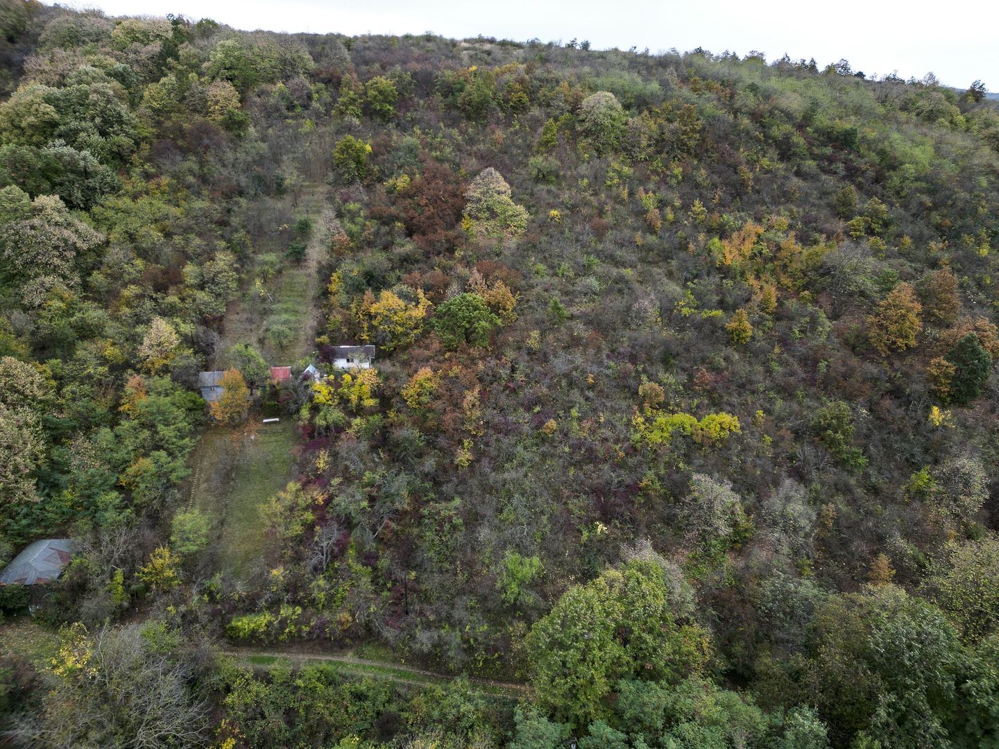 Teren 18,300mp Ghioroc - Poză 9