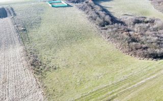 Teren | 651MP | Extravilan | Rusciori - Poză 8