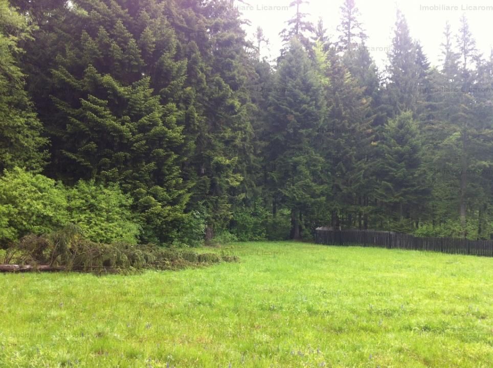 Teren intravilan Cotul Donului,pretabil Hotel/pensiune. - Poză 9