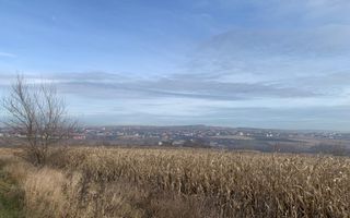 Teren intravilan de vânzare | Cajvana | 7.800 mp - Poză 9