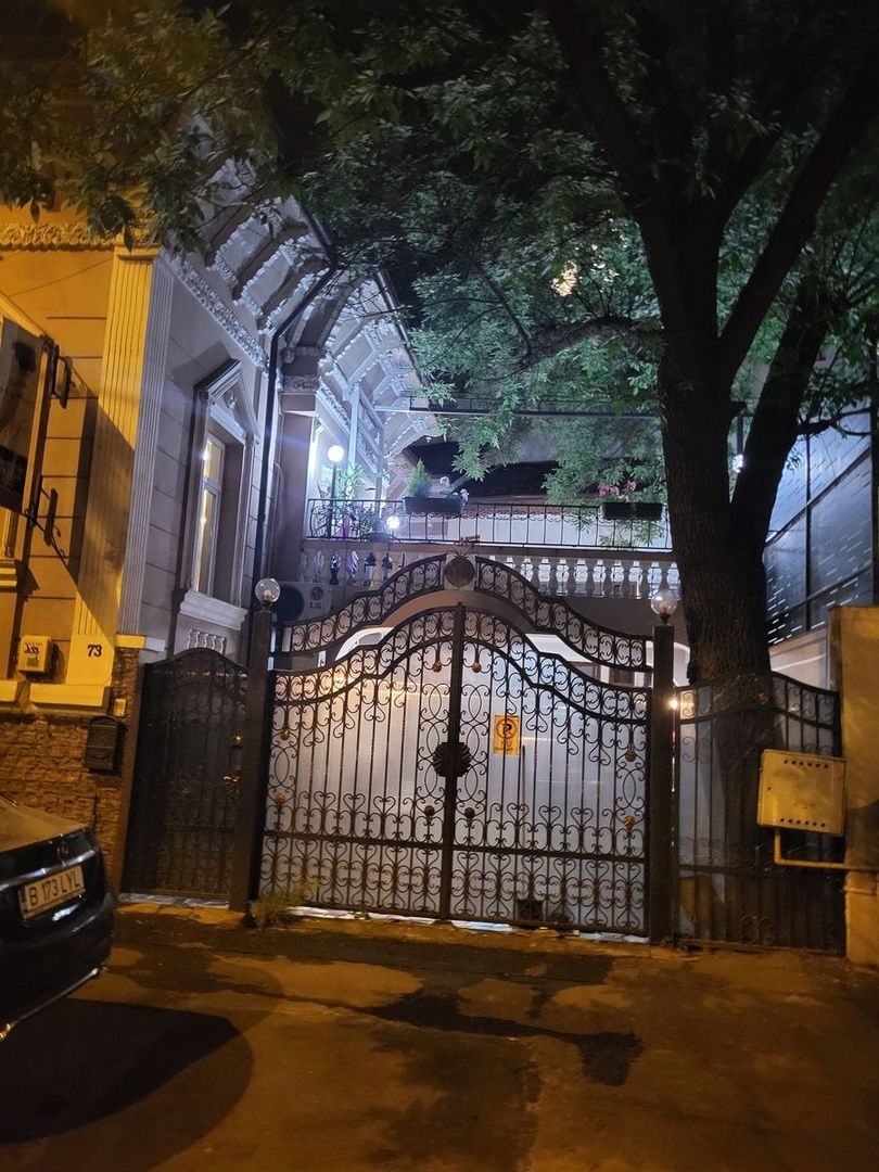 Bulevardul Ferdinand || Vila Lux 7 Camere  || Curte Terasa || 5 locuri parcare - Poză 3