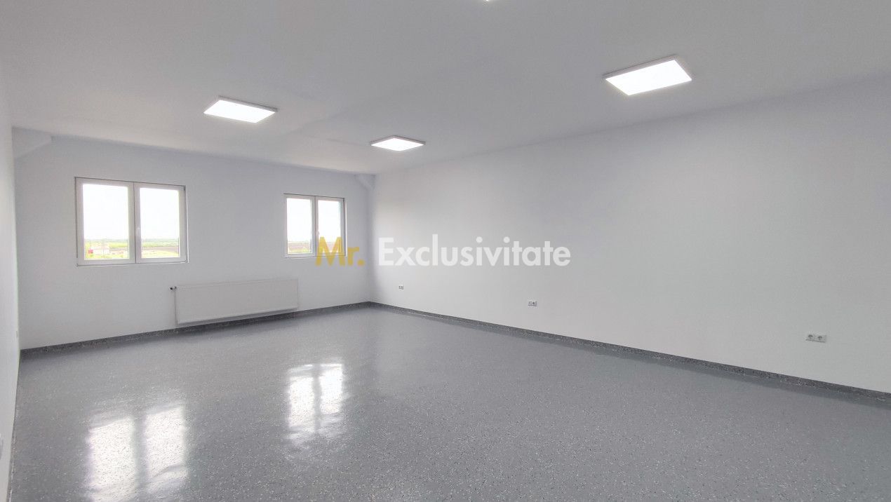 Inchiriere Spații de Birouri/Producție - Str. Uzinei - Carei - Comision 0% - Poză 4