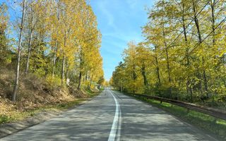 Teren 827mp, toate utilitatile, com. Ciugud, sat Teleac - Poză 6