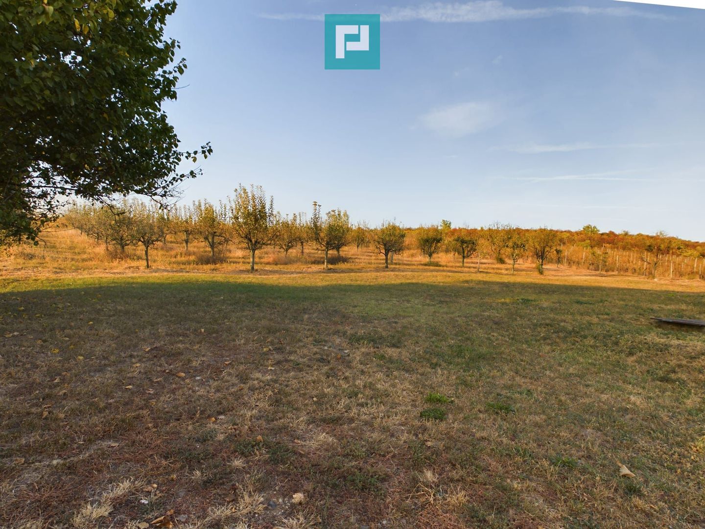 Spațiu comercial - Crama Pivnițele Birăuaș - Poză 29