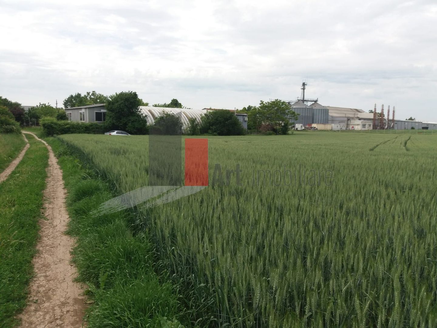 Teren Buftea cu iesire la lac - Poză 4