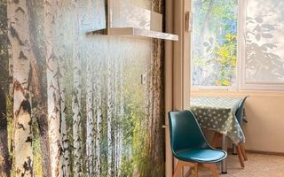 Apartament 2 camere lângă Parcul IOR, etaj 1, mobilat complet, pet friendly - Poză 5