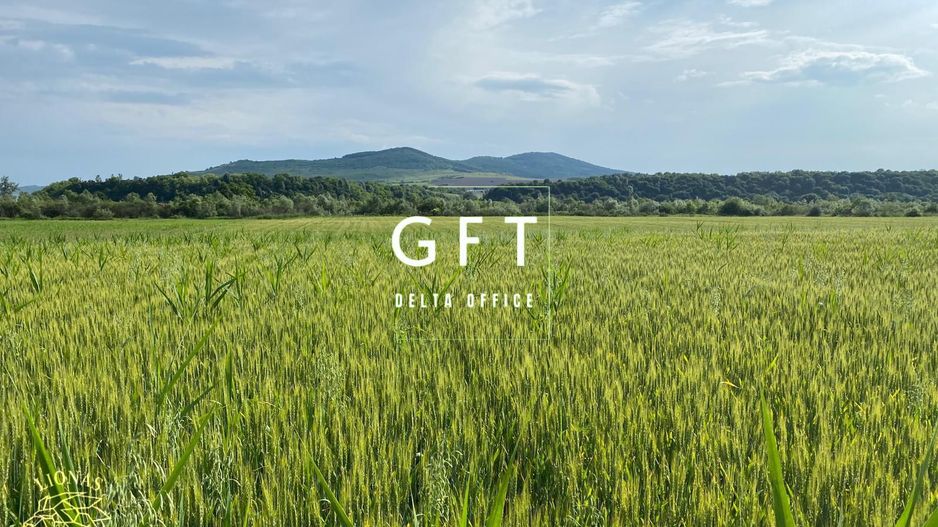 Teren -4.300 mp - Arabil - Chintelnic - Poză 4