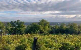 casa batraneasca de vanzare - Poză 1