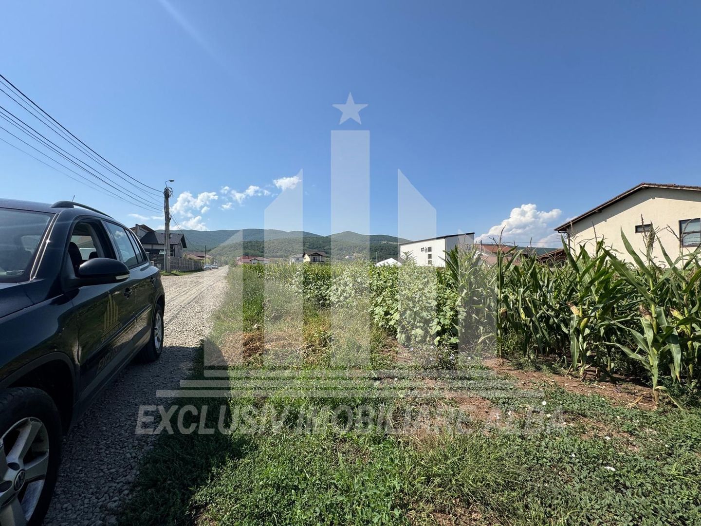 Teren intravilan | De vanzare | 5000 mp | 150 ml deschidere | Micesti - Poză 6