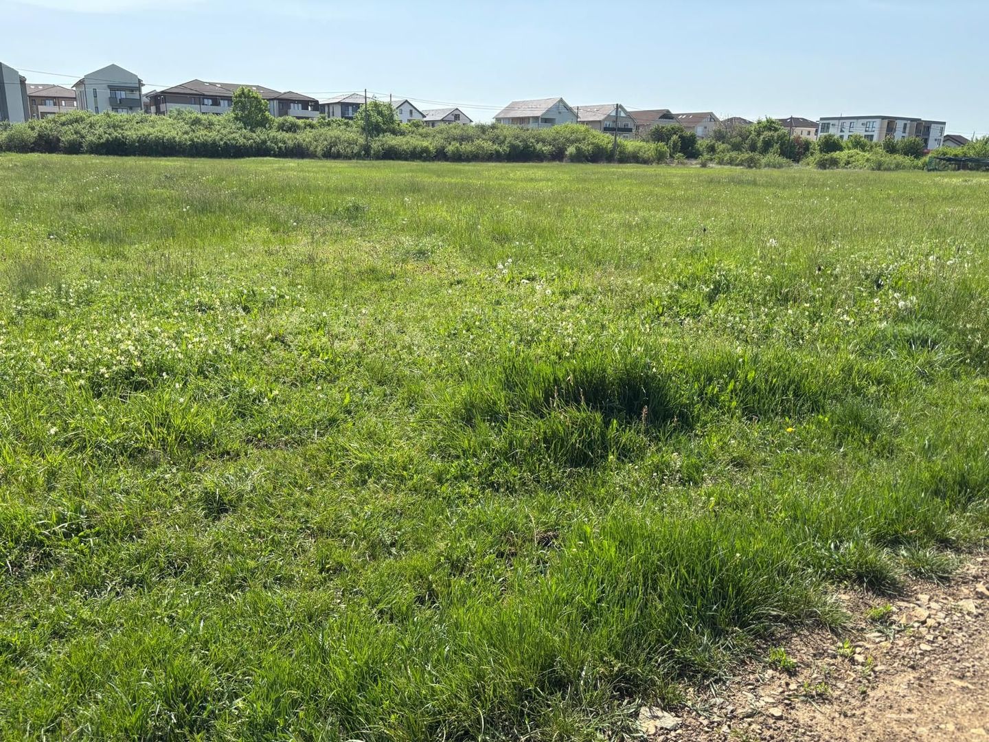 Teren 1239 mp front 29 in Aradul nou - Poză 6