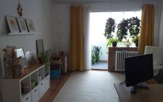Apartament 2 camere, 46 mp, balcon, zona Parang - Poză 3