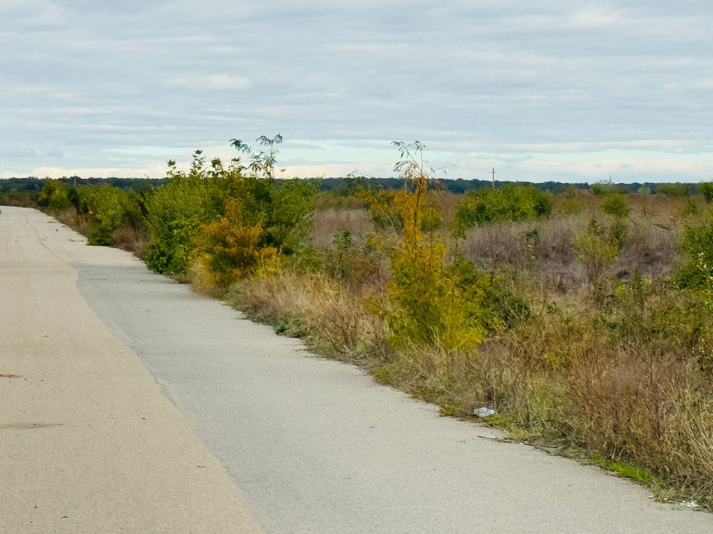 Teren extravilan Chitila/Mogosoia 15895mp - Poză 5