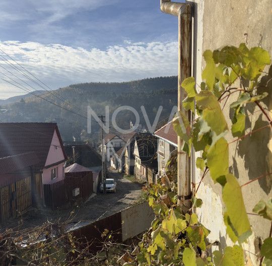 Casa individuala - Sat Vale, Saliste - Poză 4