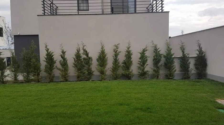 6-Room Individual Villa for Rent I Unfurnished | American School - Poză 2