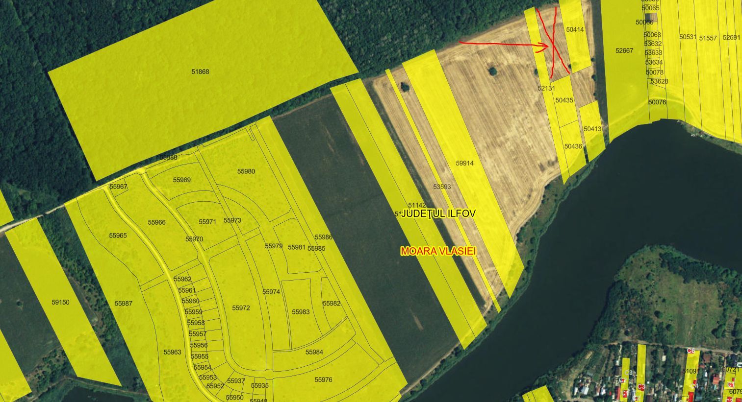 Lot 1000 mp in umbra padurii cu view la lacul academiei din Caciulati - Poză 6