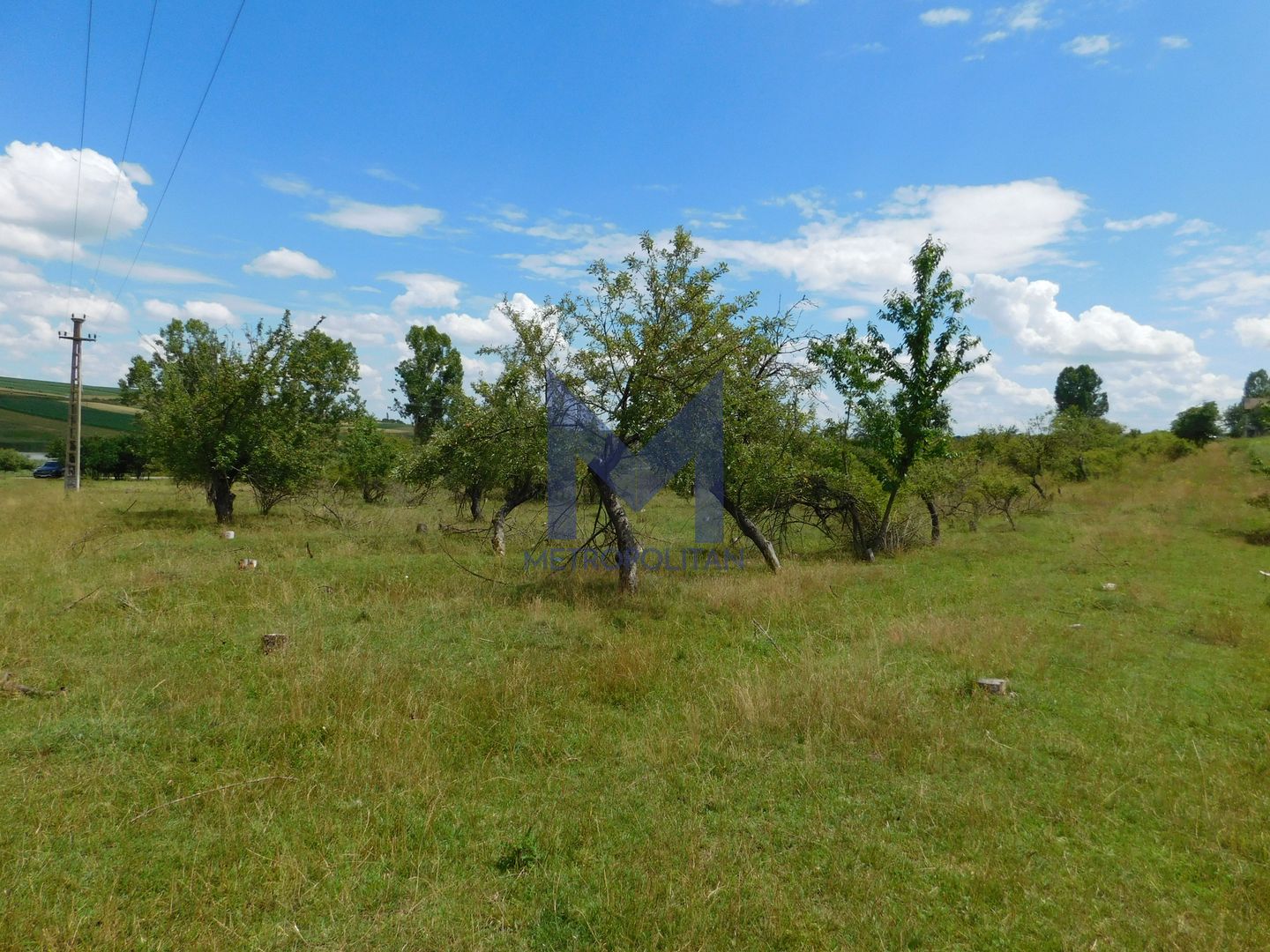 Teren 3860 mp lângă salba de lacuri a Acumulării Piscicole Mărtinești - Poză 10