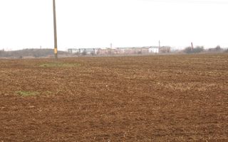 Otopeni - Str. Drumul Garii Balotesti, 11.740 mp. teren intravilan - Poză 6