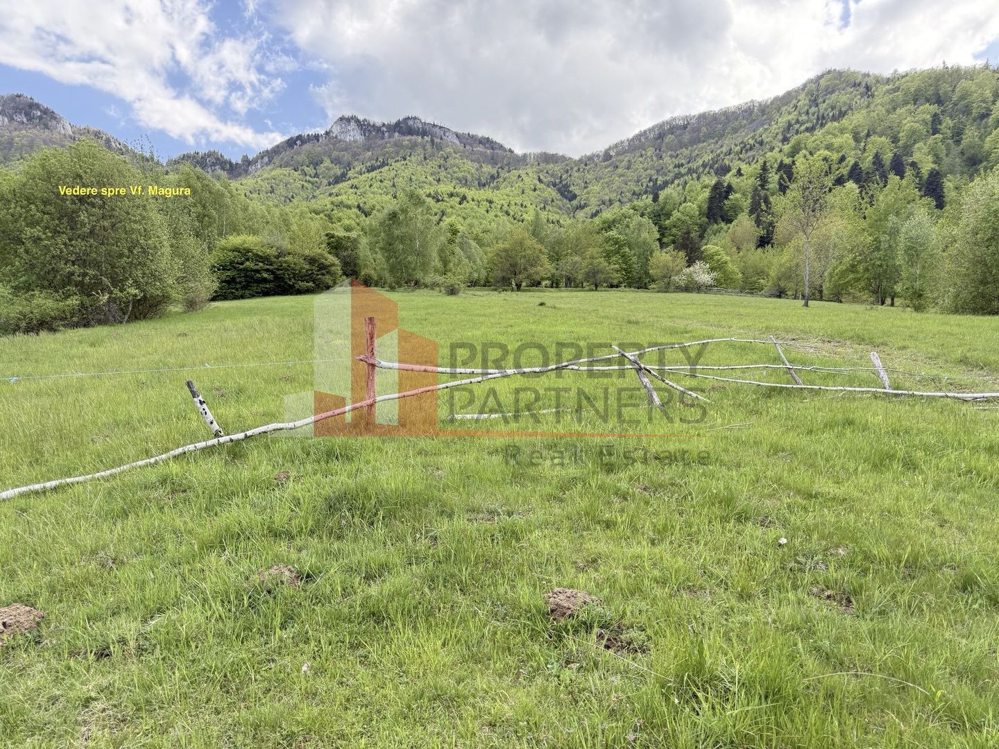 Teren intravilan 5.261 mp Tohănița | Deschidere 49 m | Utilități, lângă pădure - Poză 8