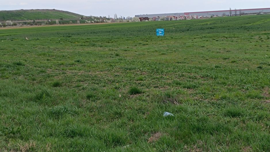 Teren intravilan 35.000 mp – Șag - Poză 6