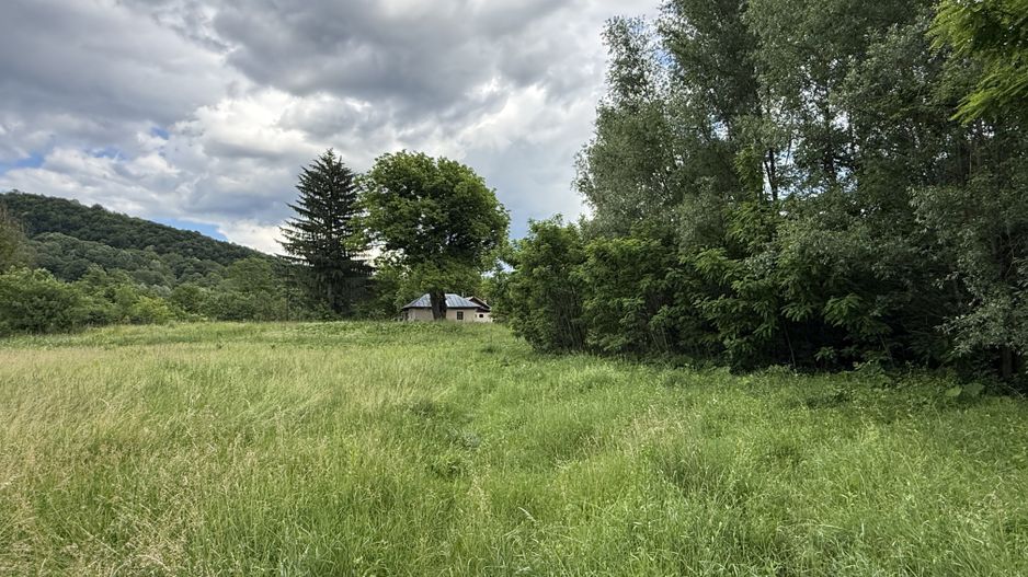 Teren plat-intravilan -3800 mp, cu pădurice și ieșire la râu! - Poză 2