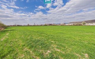 Teren extravilan, 1 ha, în orașul Sebiș, Arad - Poză 7