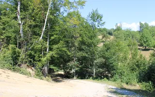 Terenuri Carpinis I parcelabil I Curent pe proprietati - Poză 78
