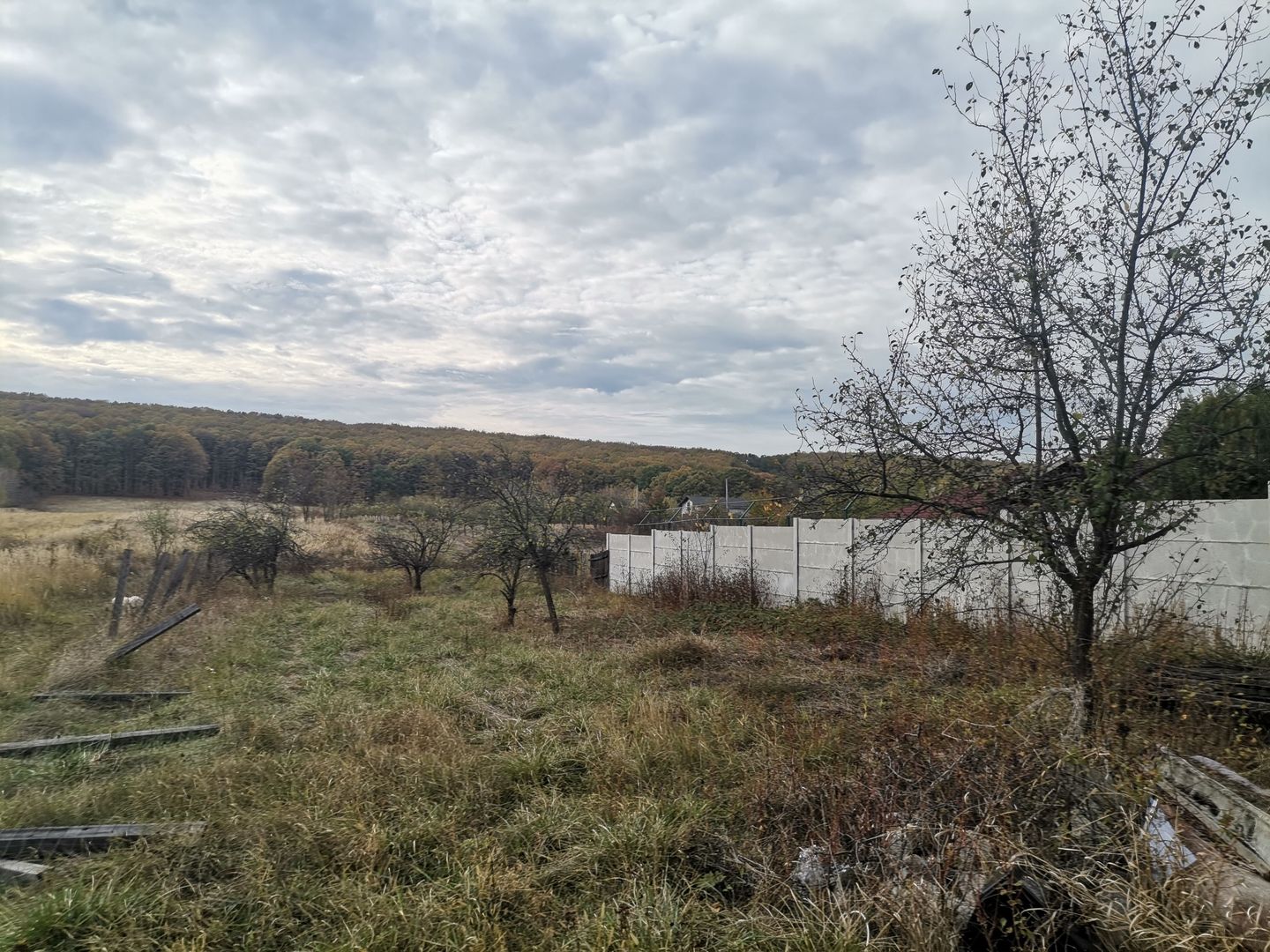 Vanzare vila Hintesti, stradal - Poză 8