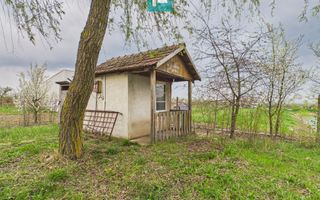 Teren 1 ha cu baltă populată – Alioș (Mașloc) - Poză 7