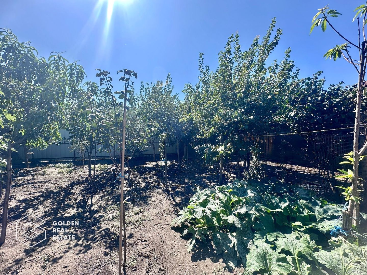 Casa cu teren 525 mp  în Bujac – Petru Maior, comision 0% - Poză 9