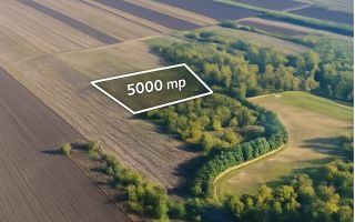 Teren extravilan 5000mp Proselnici Miroslava acte complete, lângă Eden Park - Poză 1