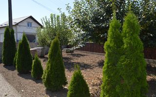 Casă de vânzare Prelipca/Suceava - Poză 5