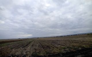 TEREN | Radauti | 6.000 mp | 62.800 EURO - Poză 3