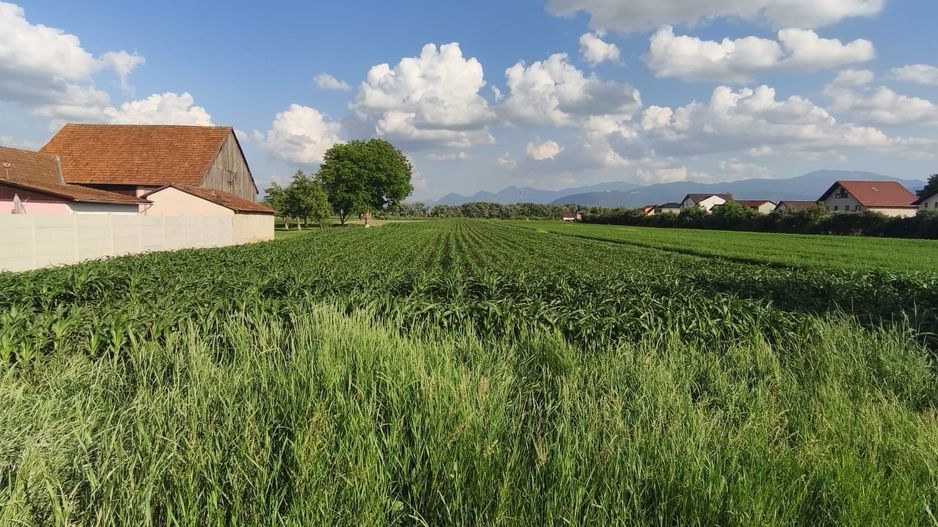 teren intravilan 700mp str. Fagurului, Stupini - Poză 2