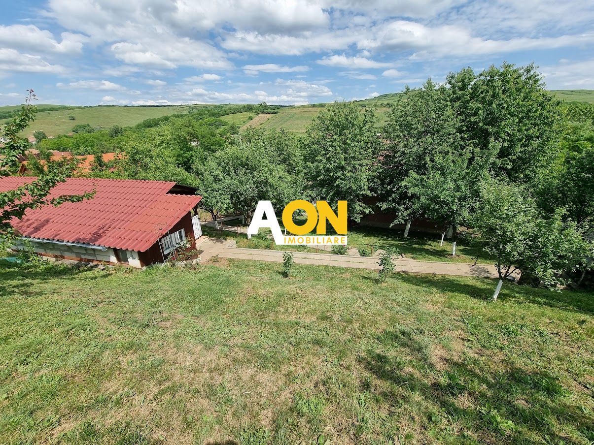 Casa 4 Camere, Comuna Ciugud, 1100mp Teren - Poză 2