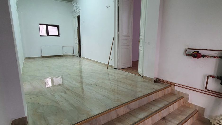 Vila Reprezentativa  8 camere Calea Mosilor - Poză 23