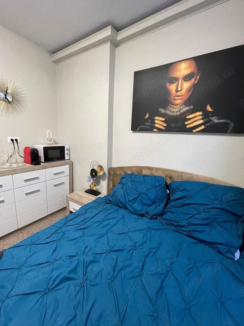 Apart Hotel Zona Piata Romana - Poză 6