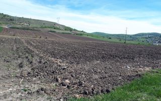 Teren de Vanzare - Extravilan - 23.300mp - Gusterita - 0% Comision - Poză 3