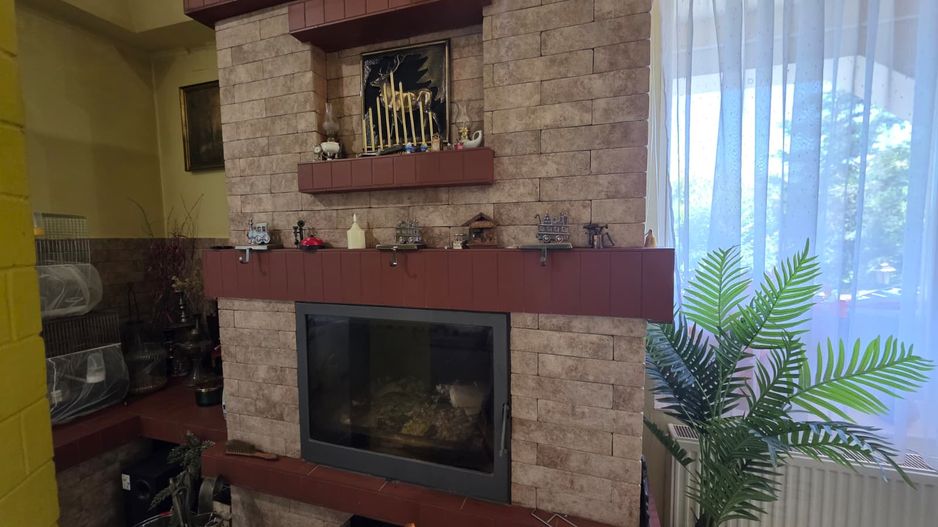 PROPRIETATE PREMIUM CU 4.534 MP TEREN- REGHIN STRADA POMETULUI - Poză 11