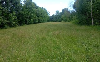 teren 1773 mp | Prahova | Banesti | Urleta | Campina - Poză 2