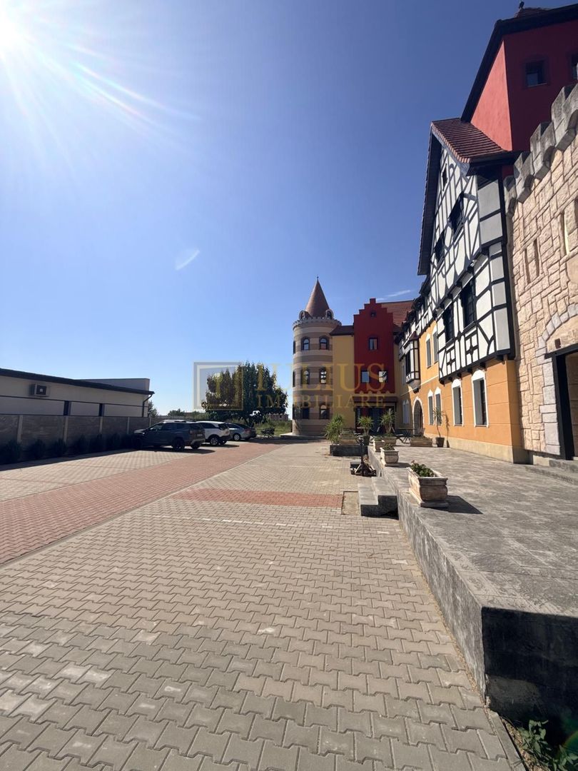 Mosnita Noua-Castel Royal| 2 camere| stil bavarez din lemn si piatra naturala - Poză 20