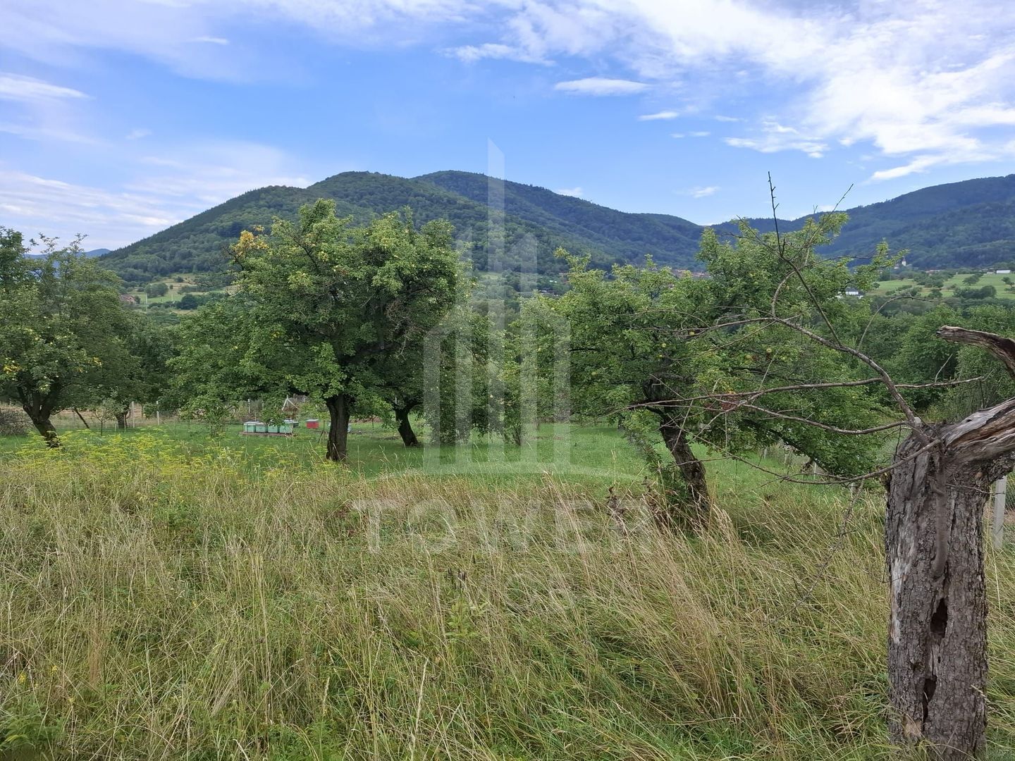 Teren de vânzare în Fântânele, 1512 mp, cu priveliște panoramică spre munți - Poză 12