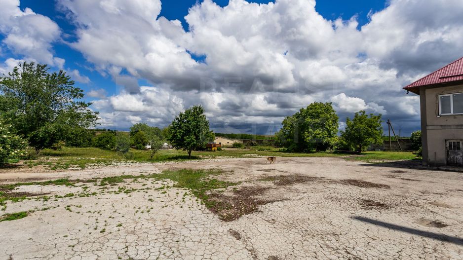 Vânzare,teren pentru construcție,1,18 ha, satul Maximovca, Anenii Noi - Poză 17