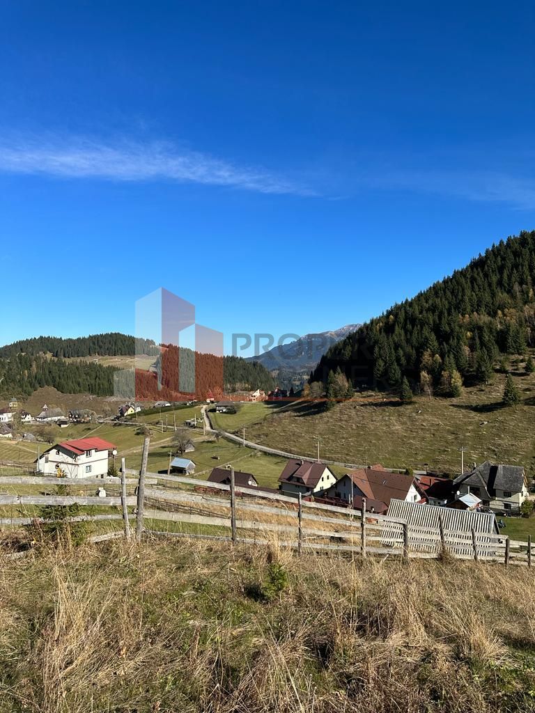 Teren Fundatica intravilan 4500 mp - Poză 17